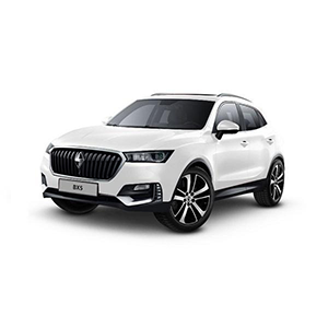 bx5 logo1-Recovered