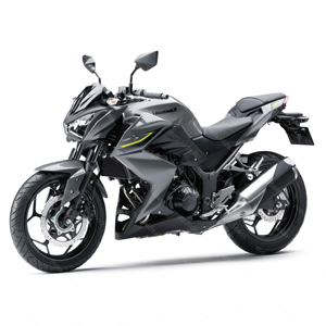 لنت ترمز موتور z 250